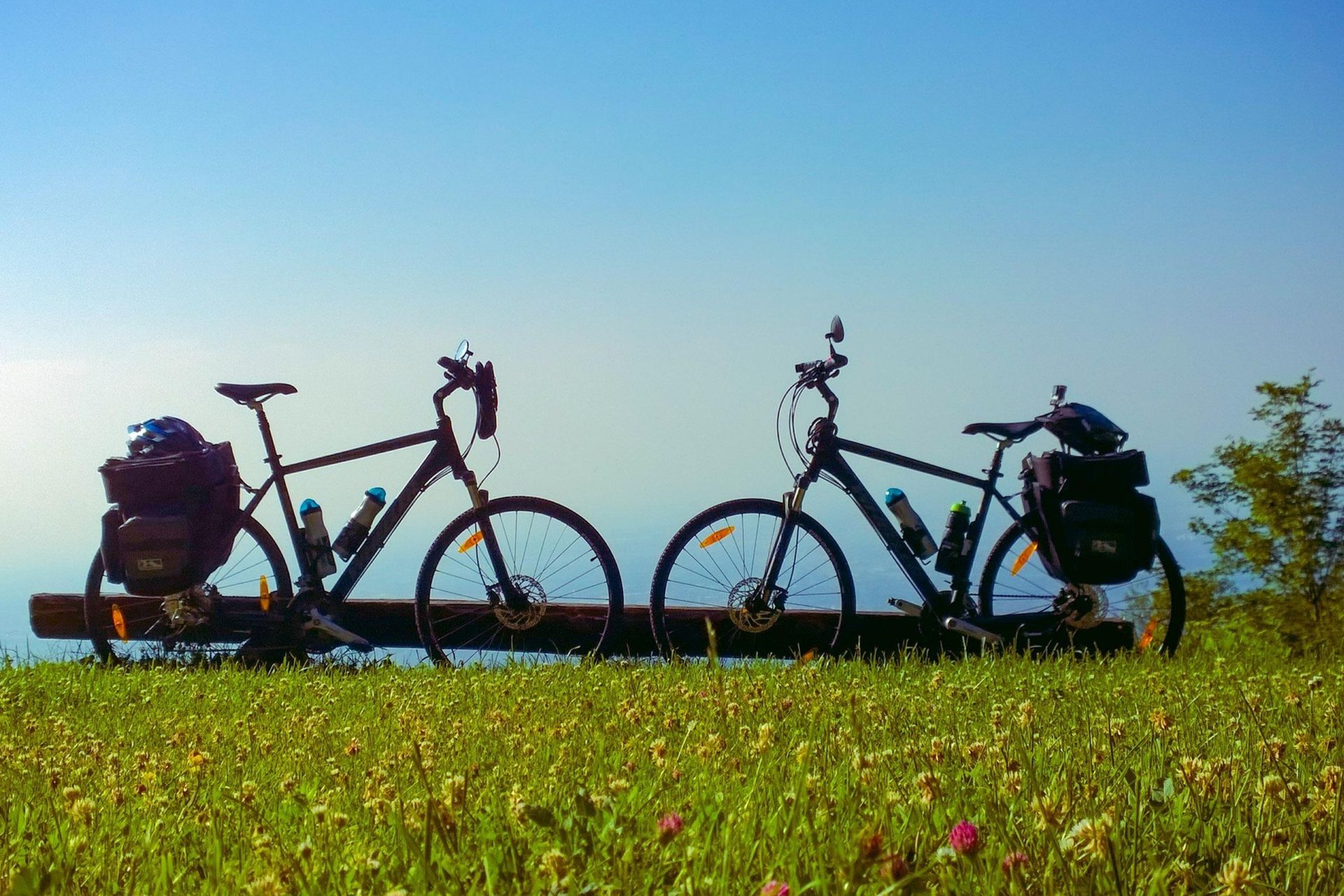 OAD - Ook fietsreizen met groep
