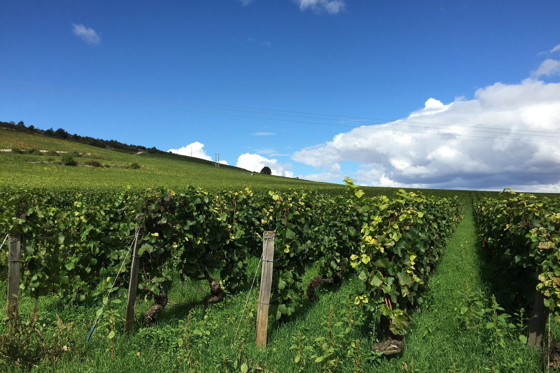 Fietsen in Bourgogne