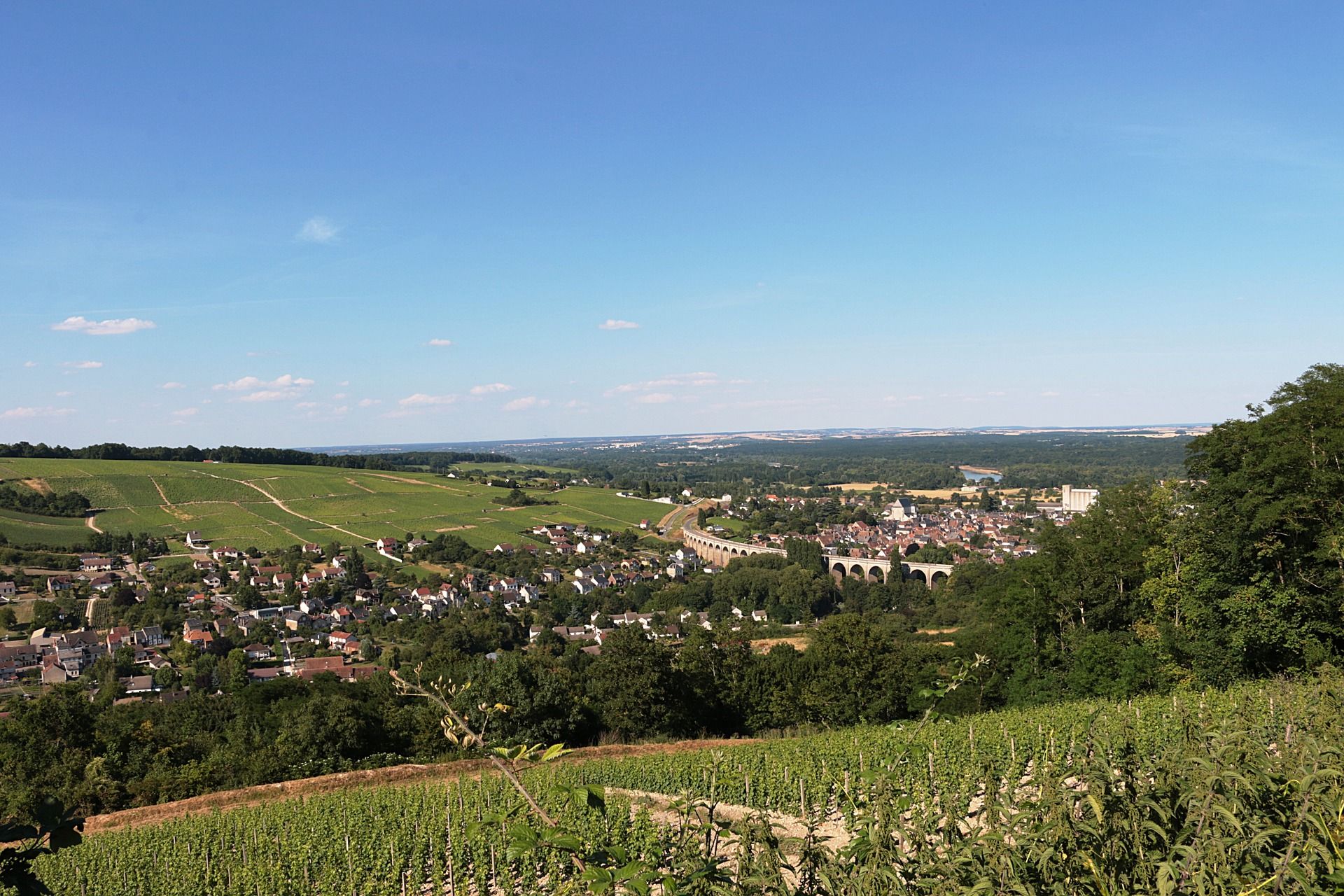 Wijngaard in Sancerre - Centre-Val de Loire