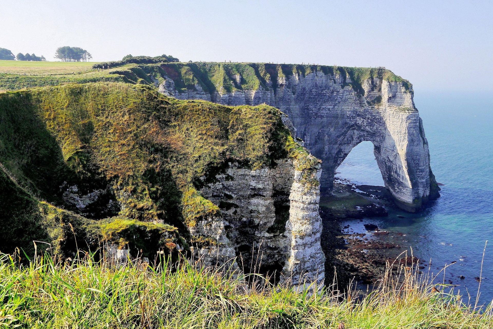 l'Aiguille, Étretat - Olifantenrots in Normadië
