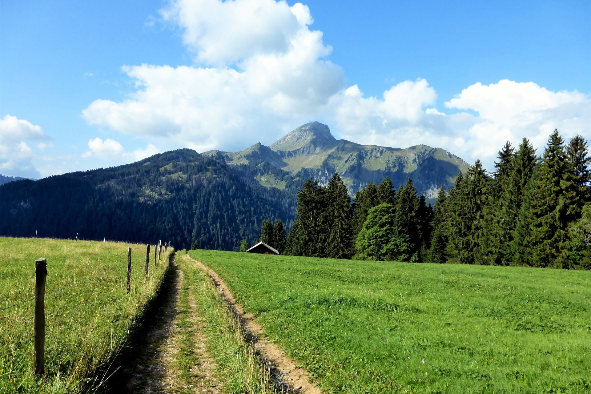 Fietsen in Frankrijk