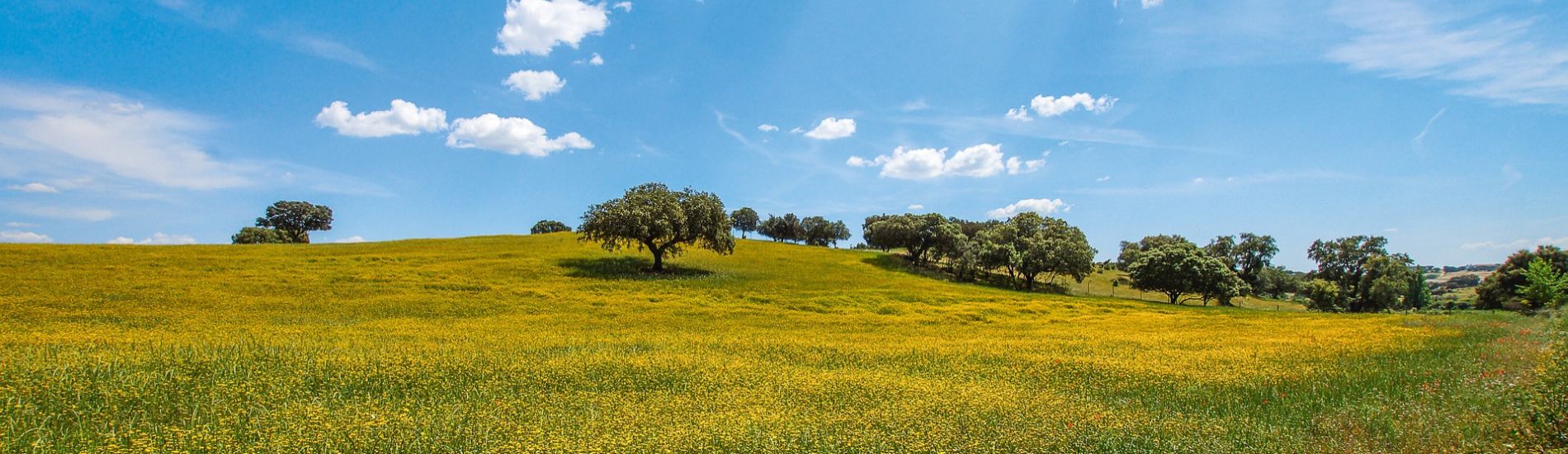 Alentejo landschap