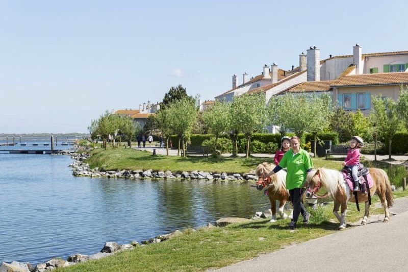 Pony vakantie bij Center Parcs