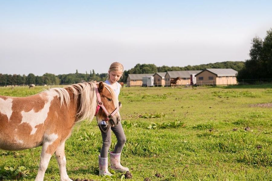 Wandelen met je eigen verzorgpony