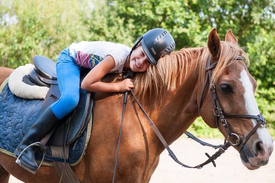 Een eigen verzorgpony bij Farmcamps