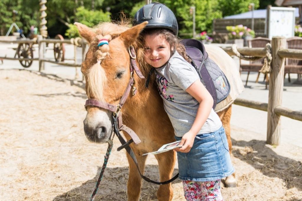 Ponyranch bij Landal Het Land van Bartje, Drenthe