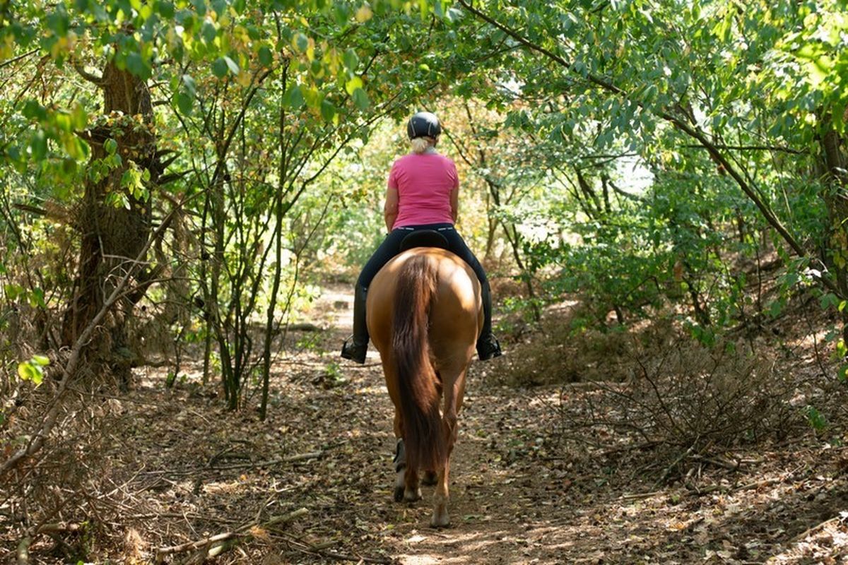 Ponyvakantie bij Samoza