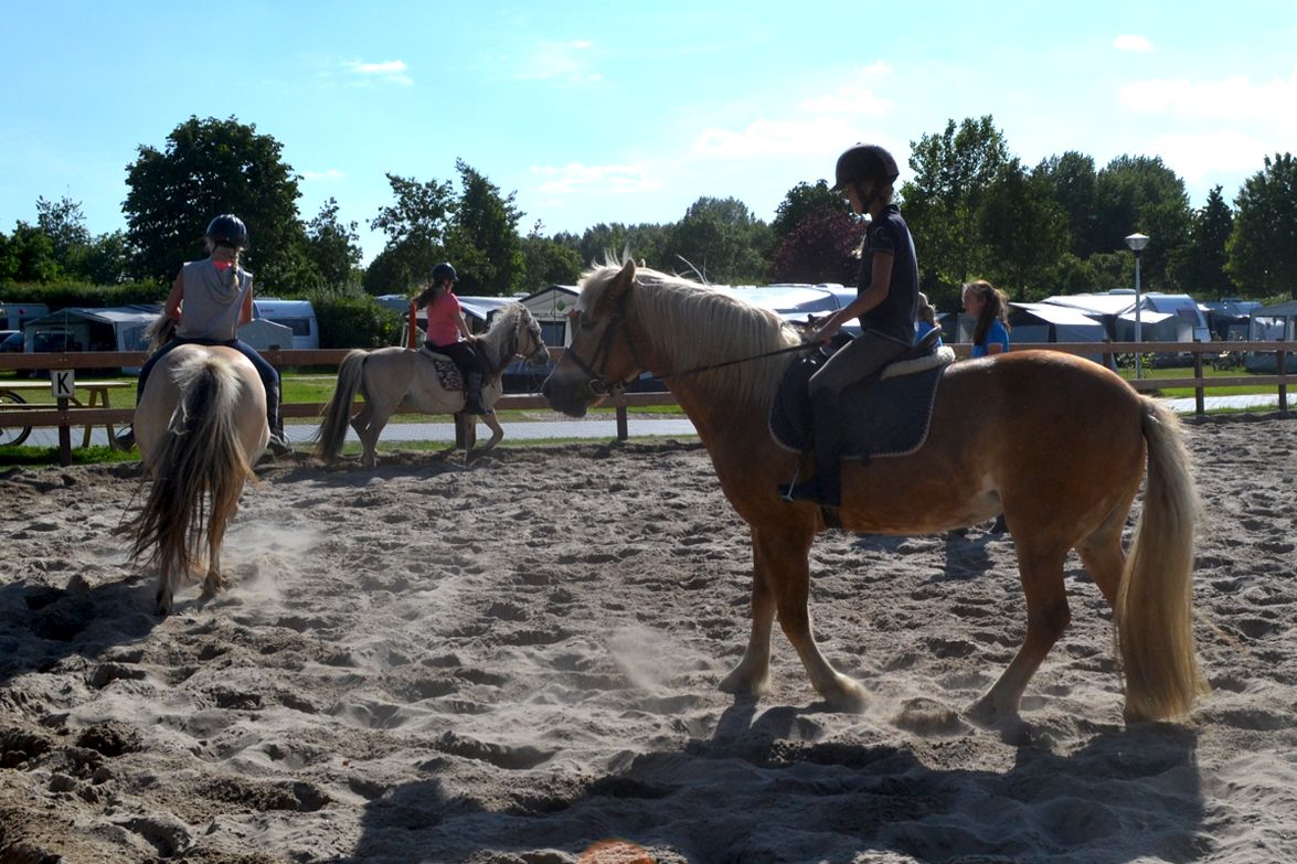 Vakantiepark en camping Eiland van Maurik