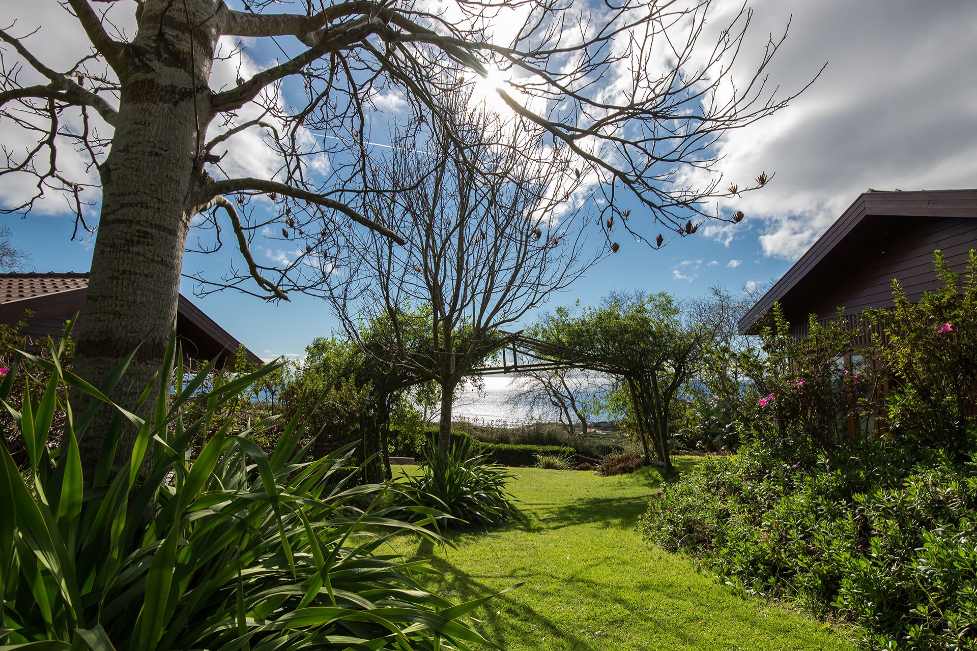 Quinta dos Curubás, Ribeira Seca