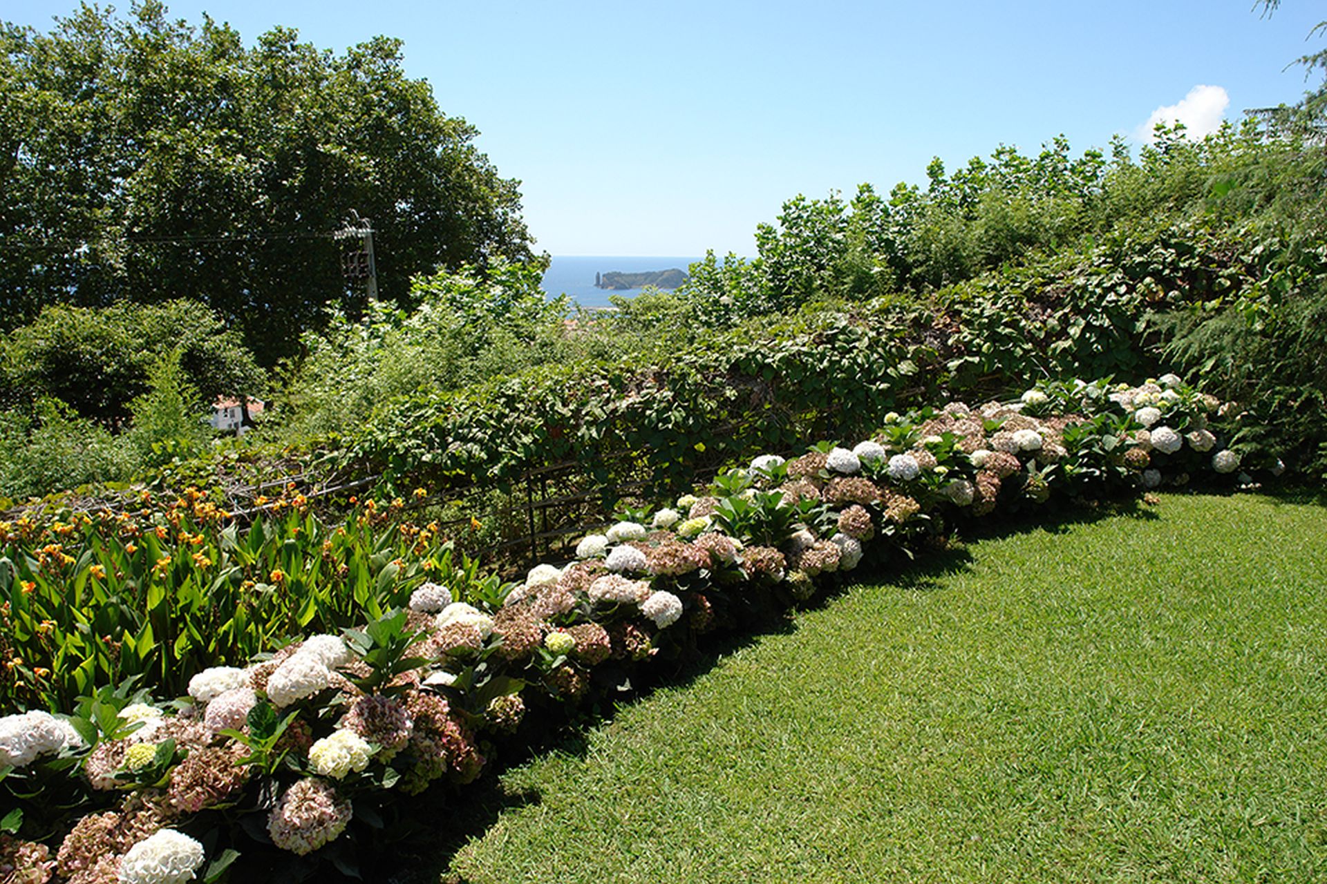 Quinta dos Curubás, Ribeira Seca