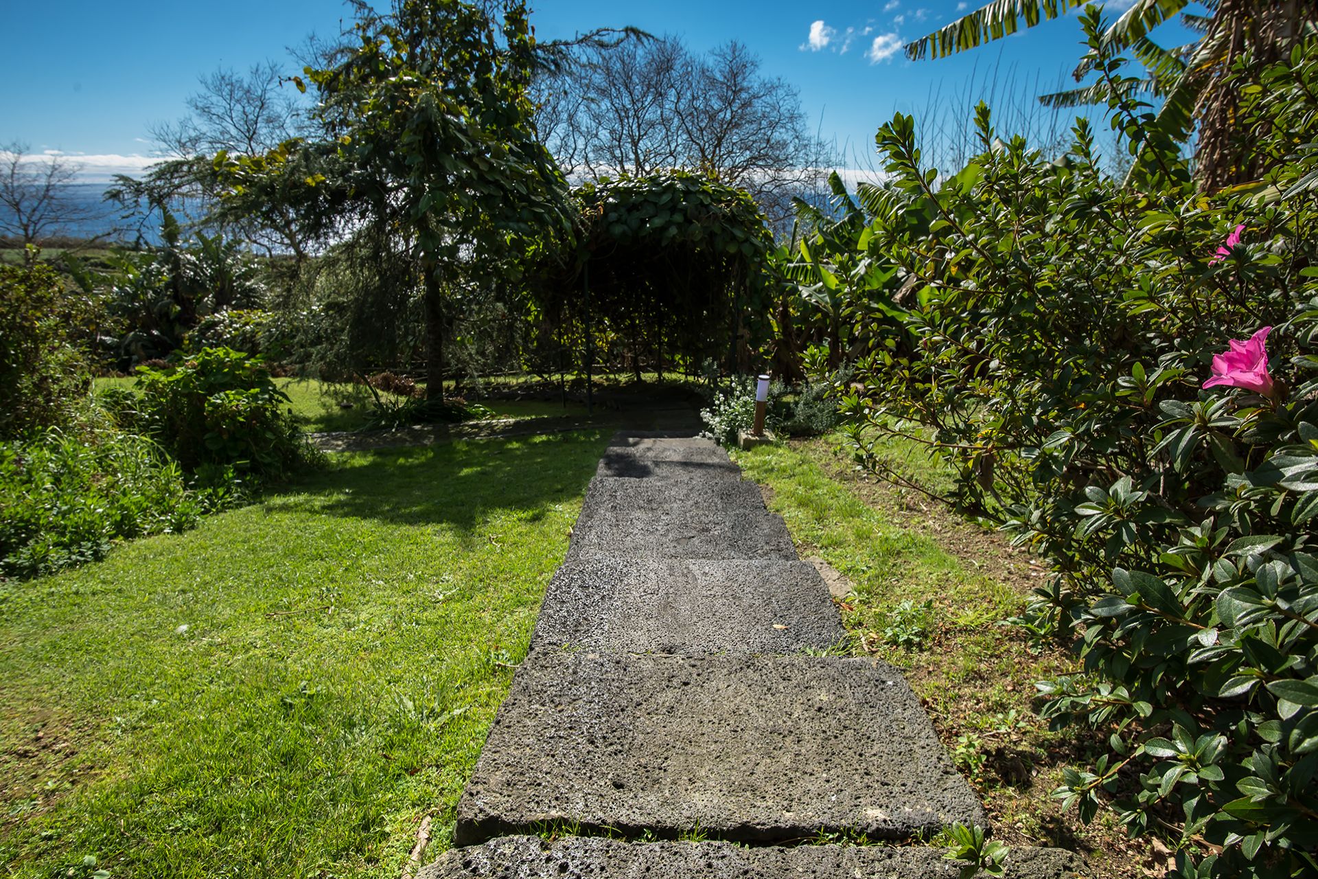 Quinta dos Curubás, Ribeira Seca