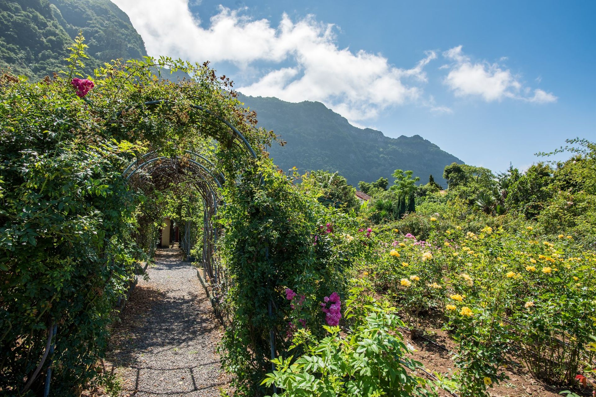 Quinta do Arco, Arco de São Jorge