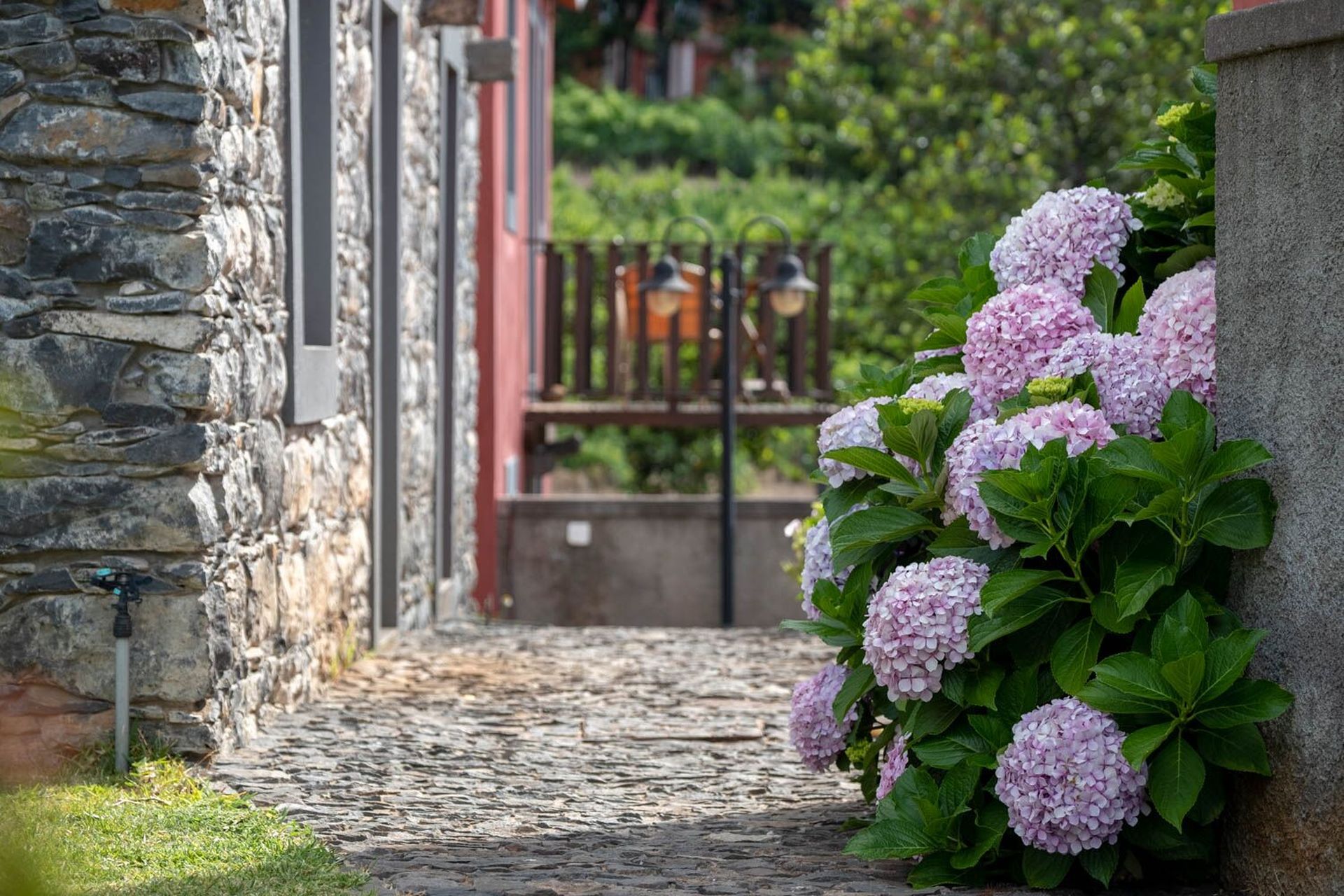 Quinta das Vinhas, Estreito da Calheta