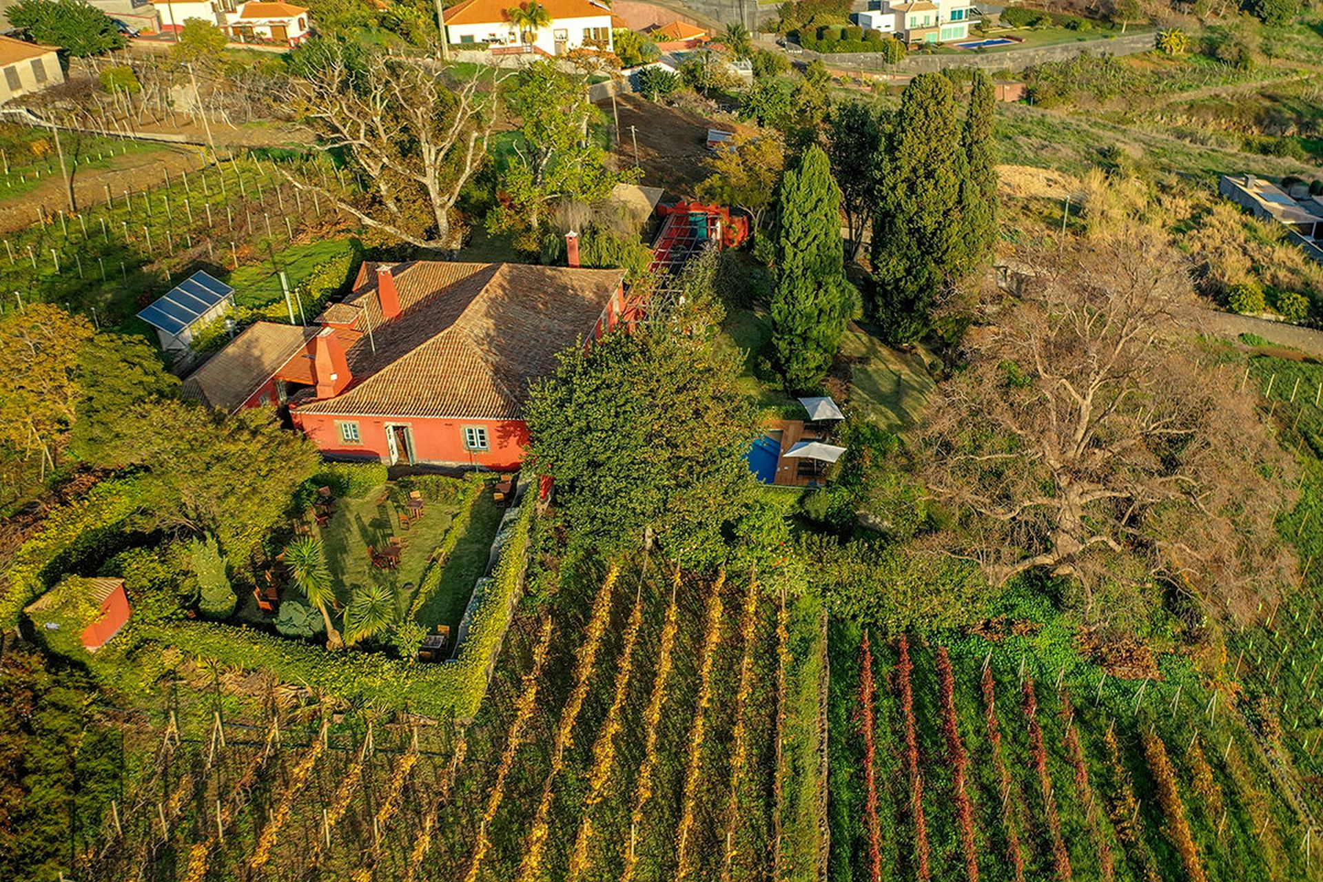 Quinta das Vinhas, Estreito da Calheta