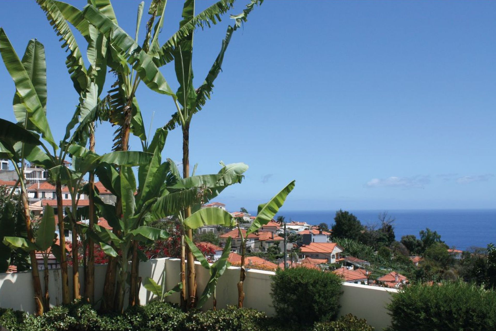 Quinta Mãe dos Homens, Funchal