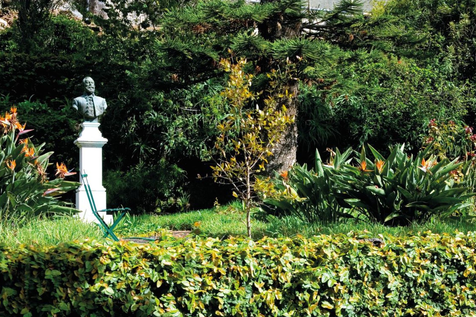 Quinta Mãe dos Homens, Funchal
