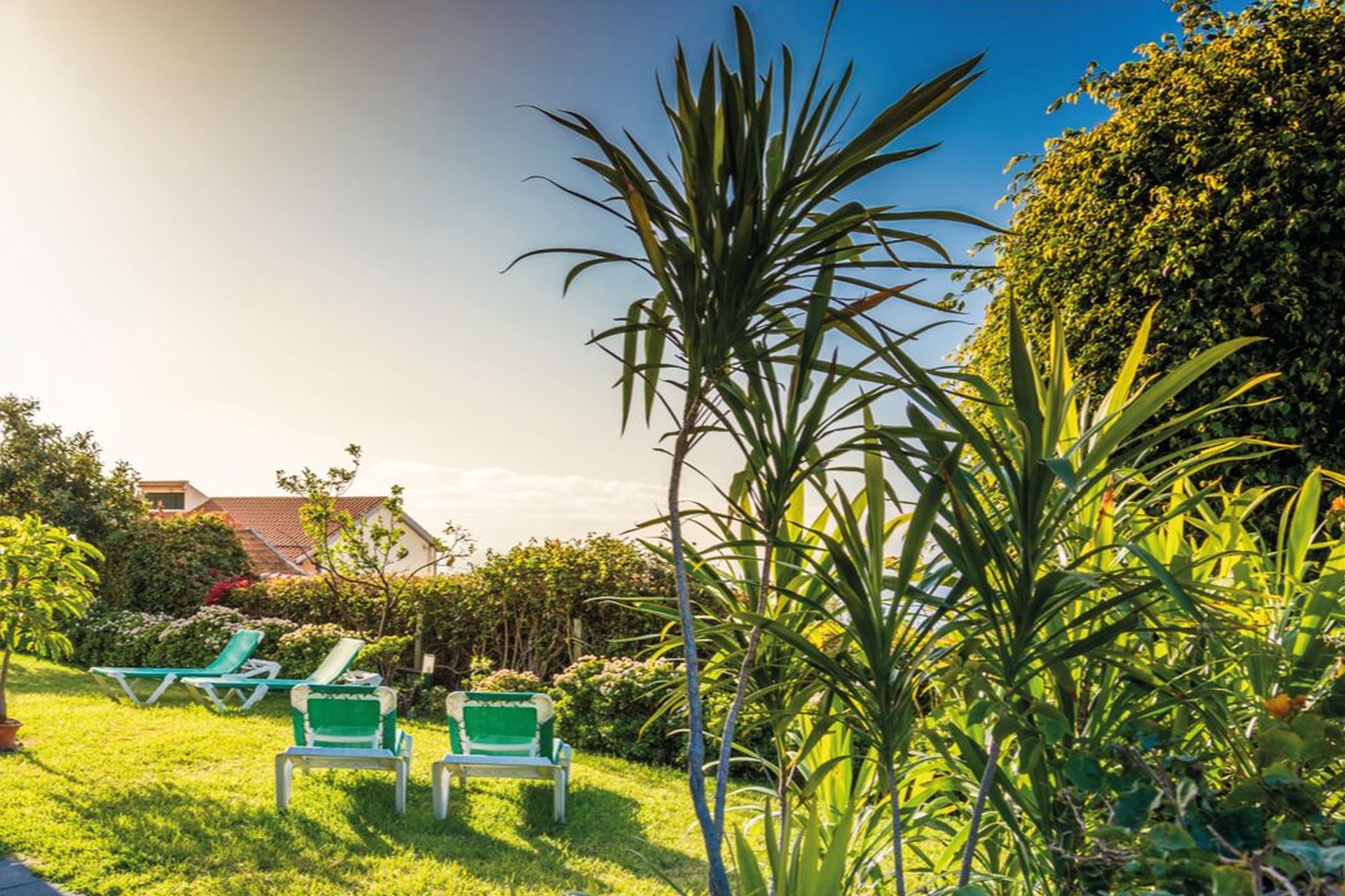 Quinta Mãe dos Homens, Funchal