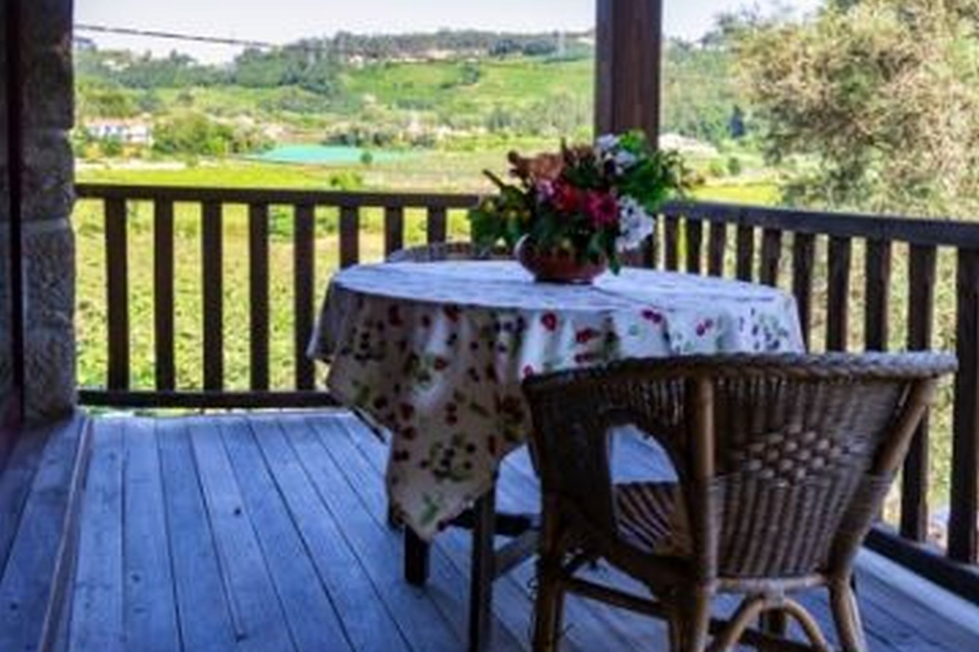 Quinta de São Vicente, Geraz do Minho