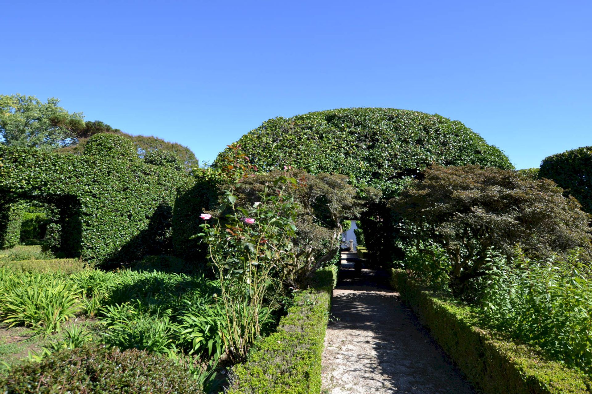 Casa do Campo, Celorico de Basto