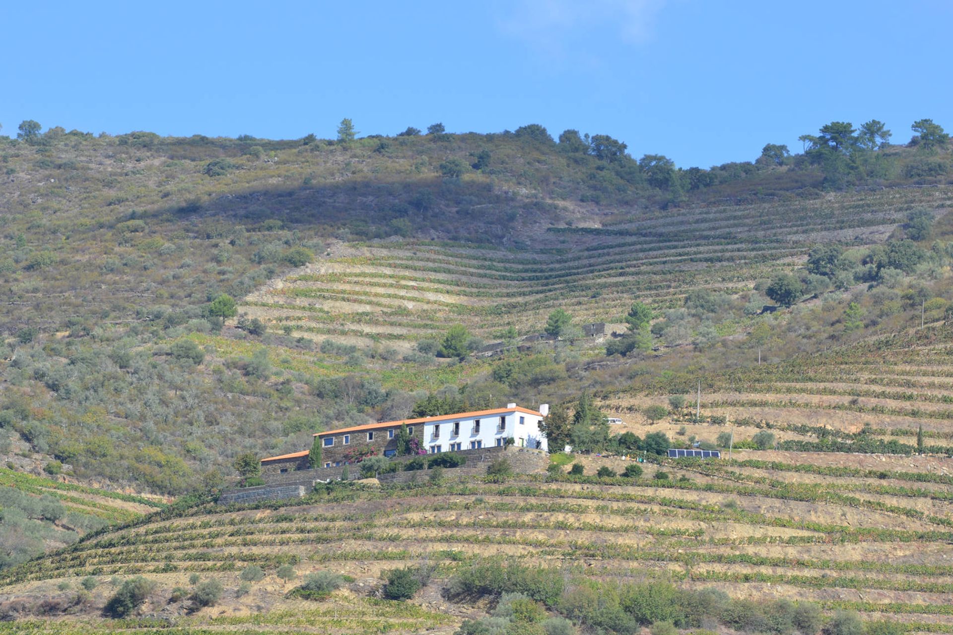 Quinta da Veiga, Sabrosa