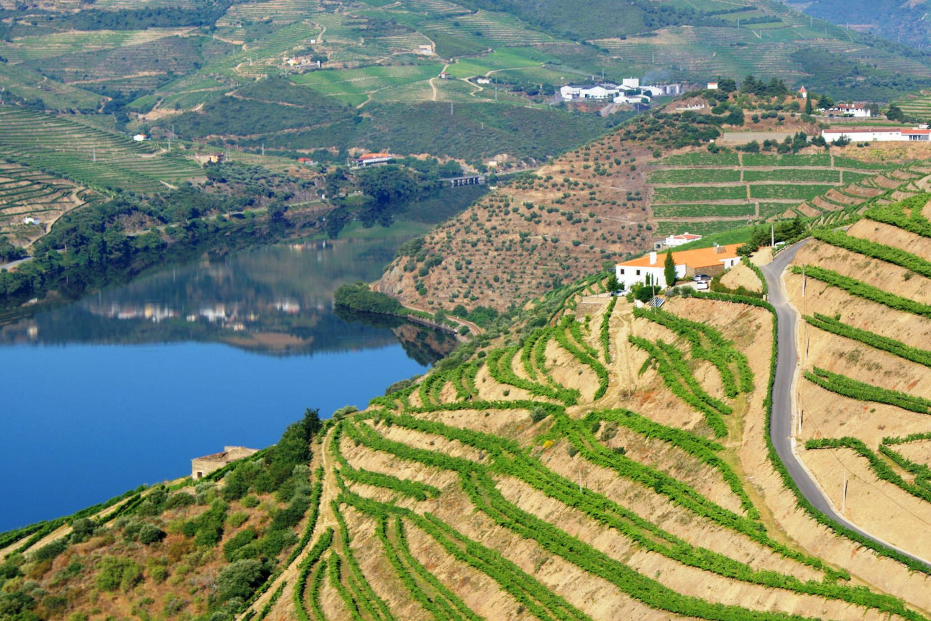 Quinta da Veiga, Sabrosa