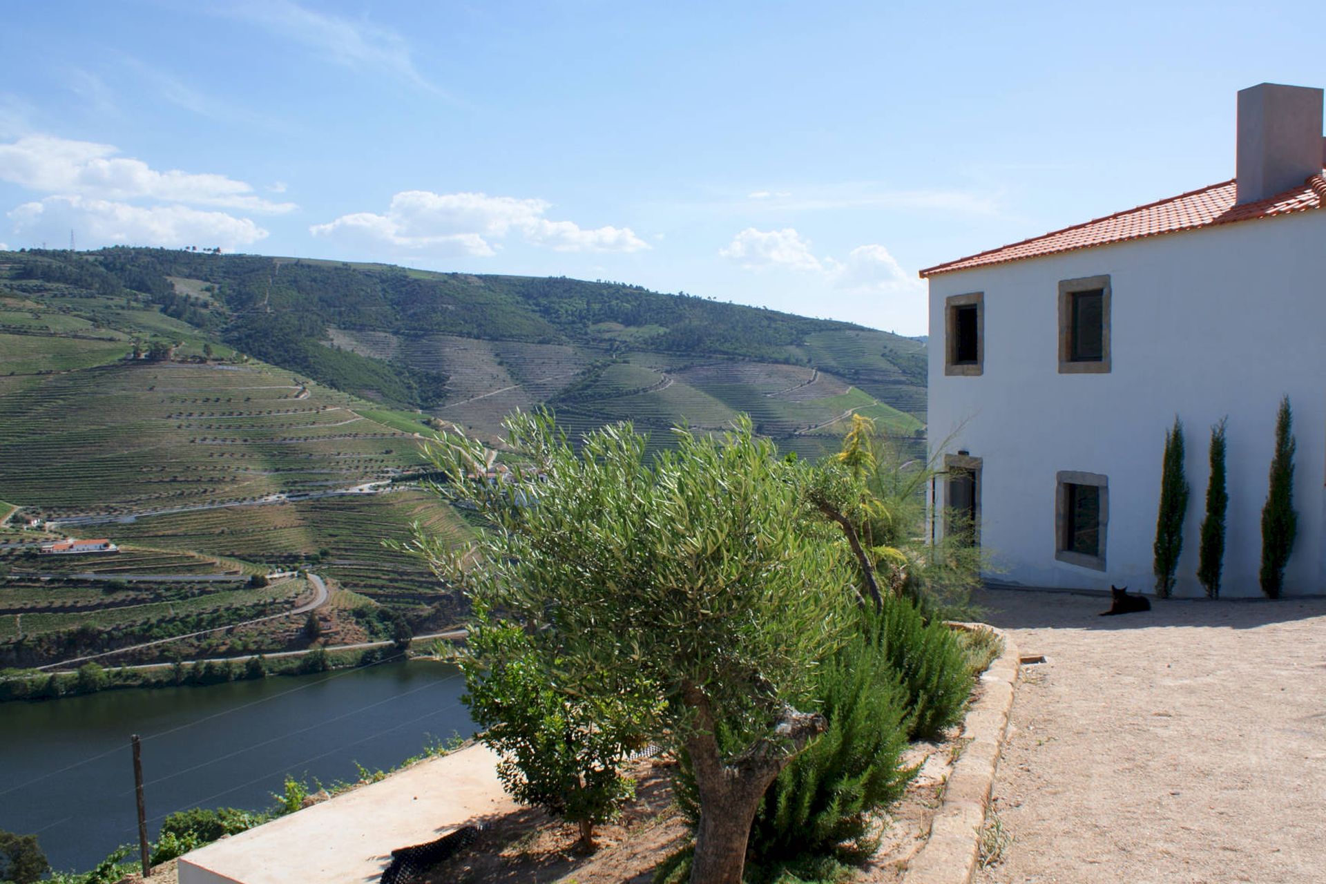 Quinta da Veiga, Sabrosa