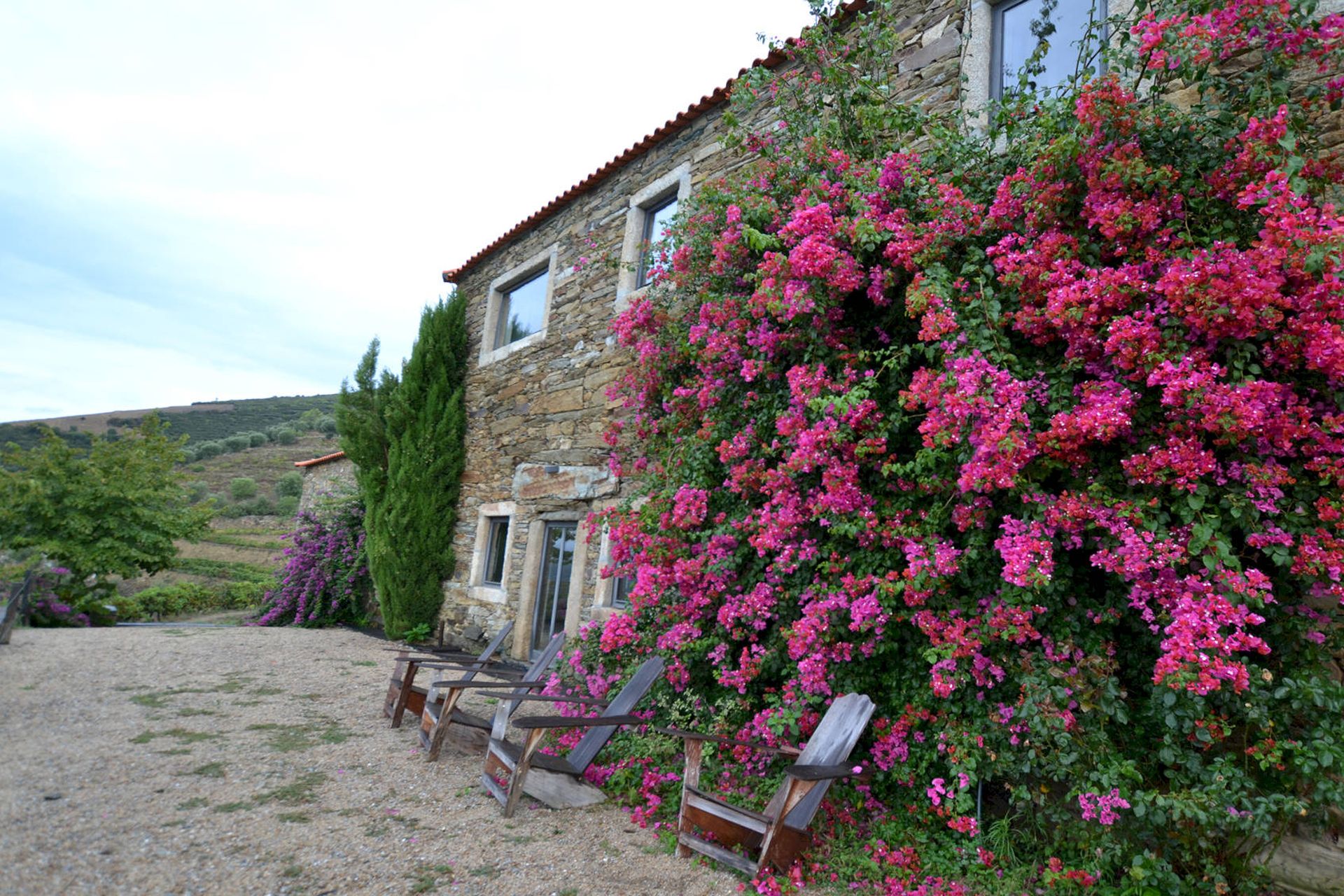 Quinta da Veiga, Sabrosa