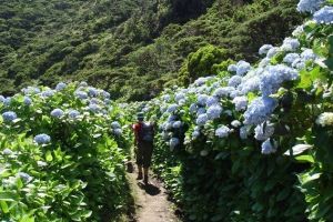 Wandelvakantie Azoren, Portugal