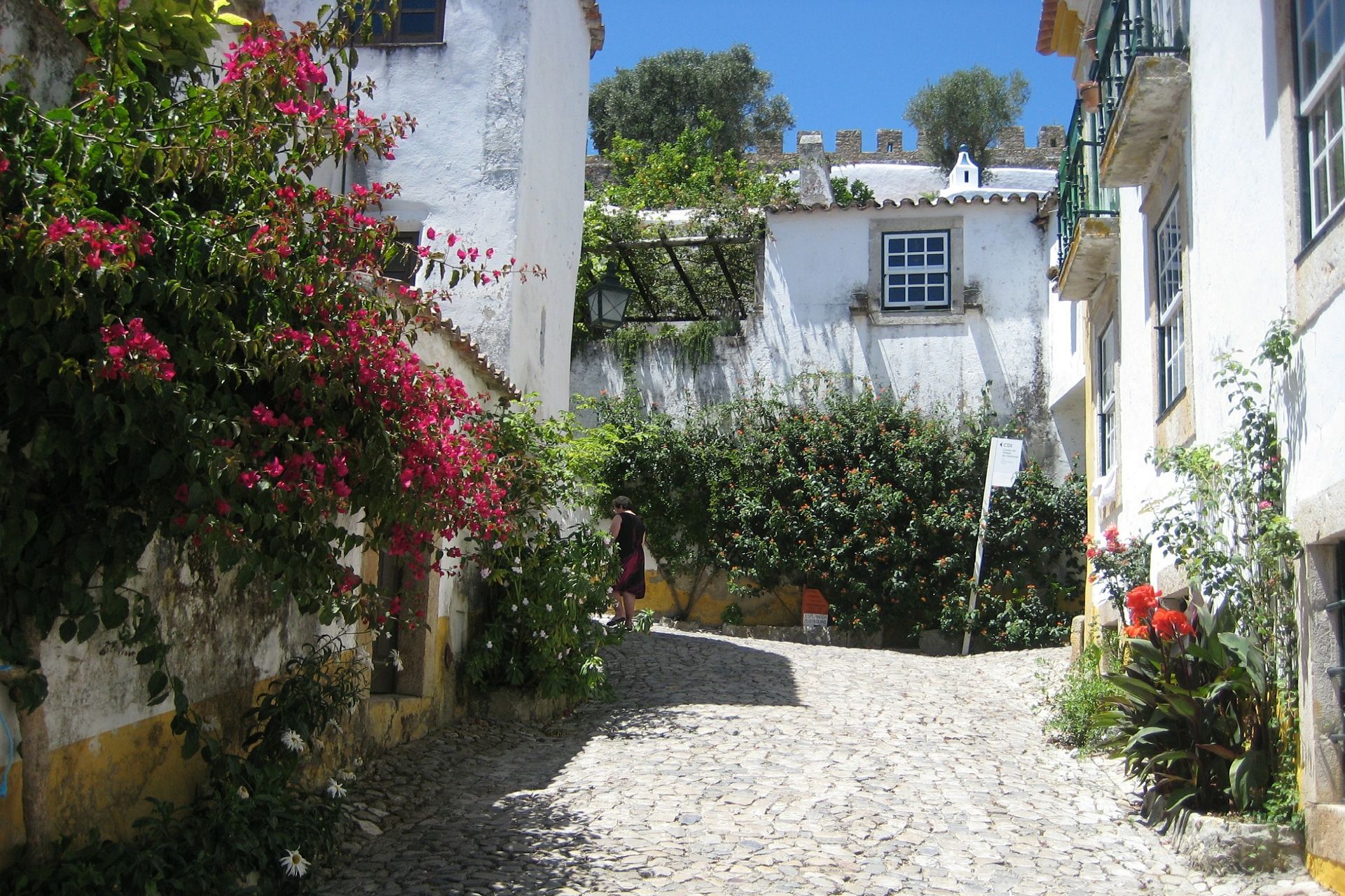 Charmant Óbidos - Rondreis Portugal