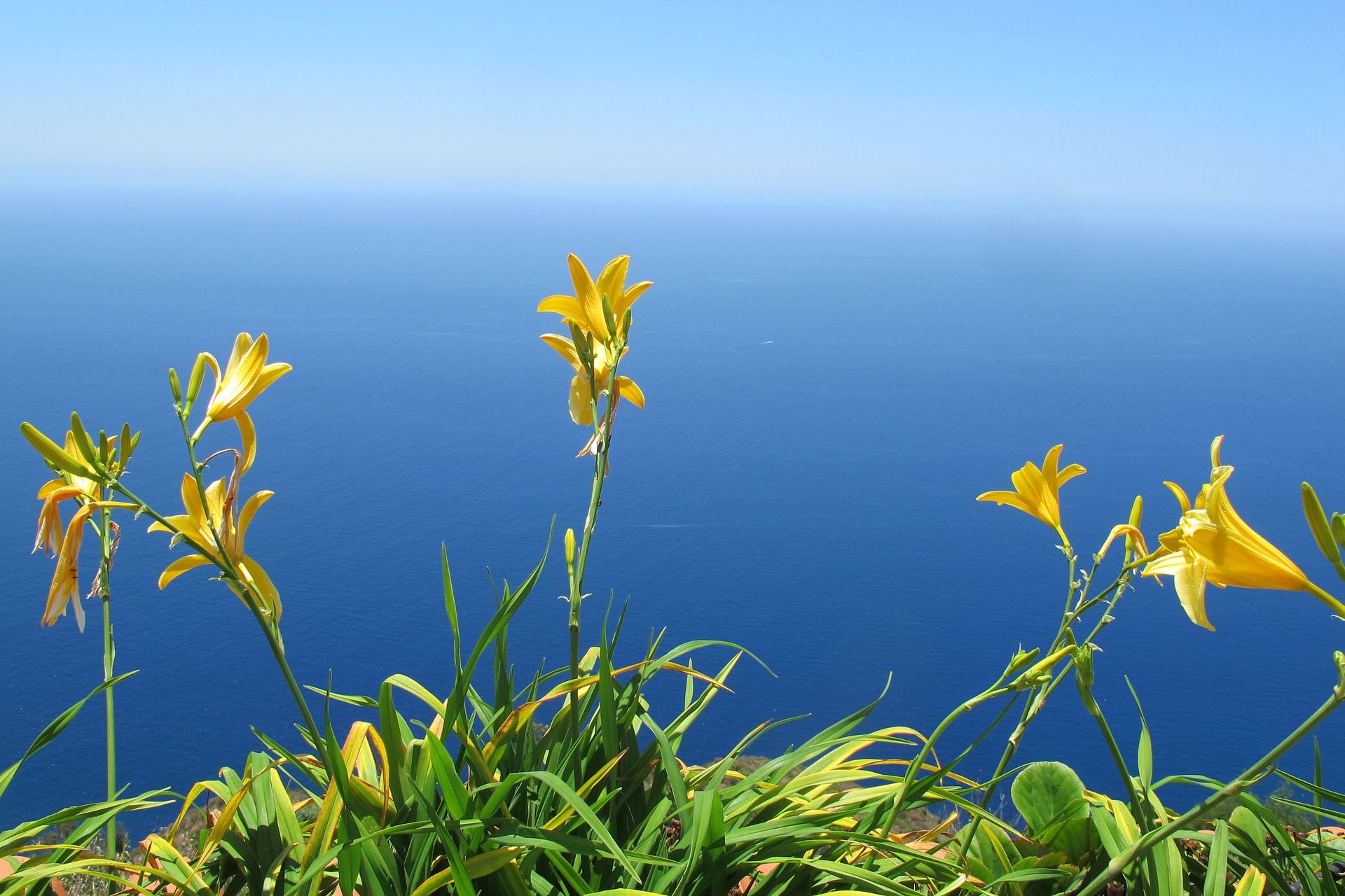 Afwisselende rondreis over Madeira - Fly drive