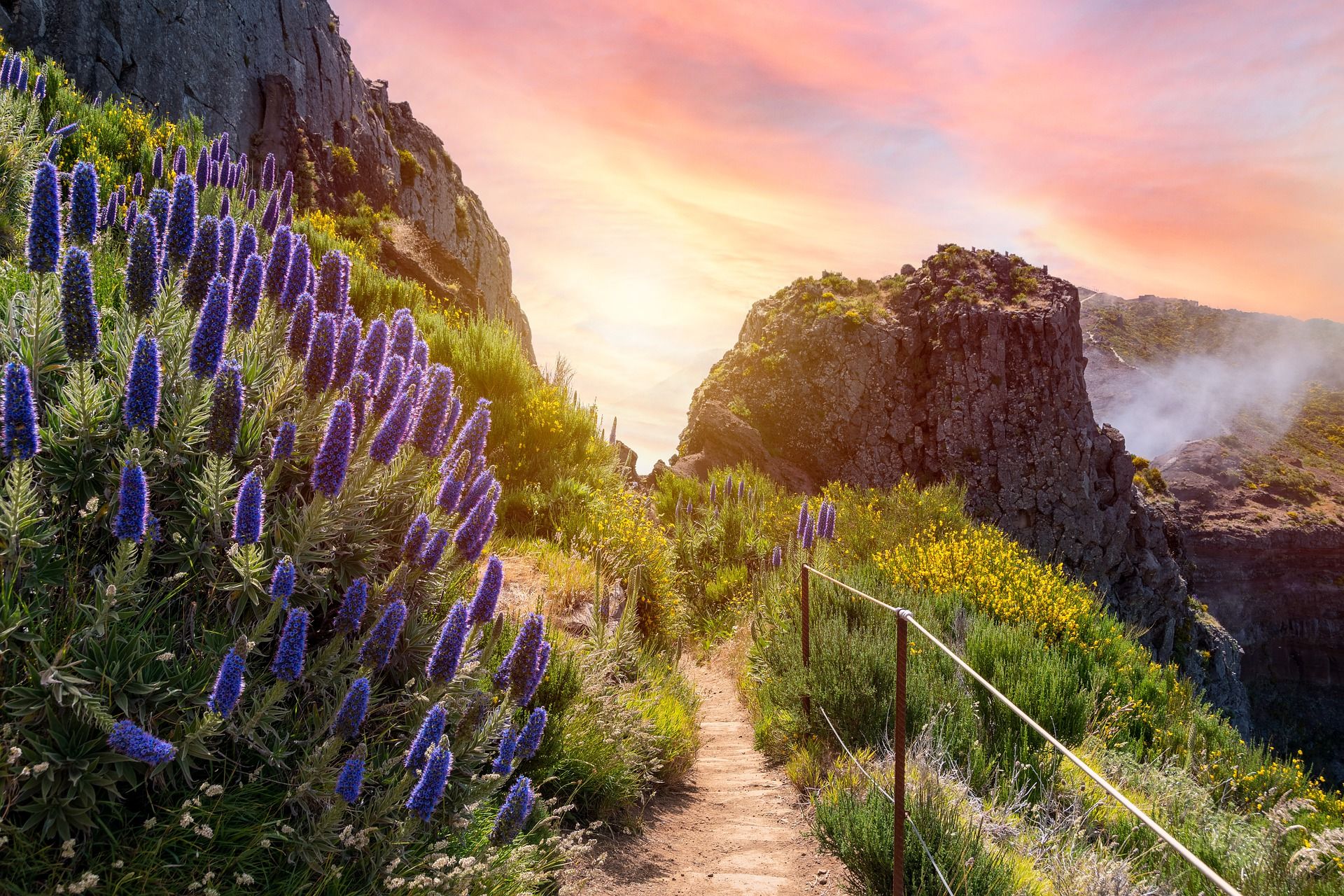 Maatreizen naar de Madeira archipel