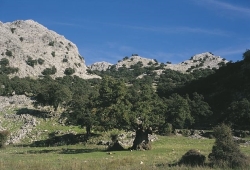 Sierra de Grazalema - wandelen in het hart van Andalusië