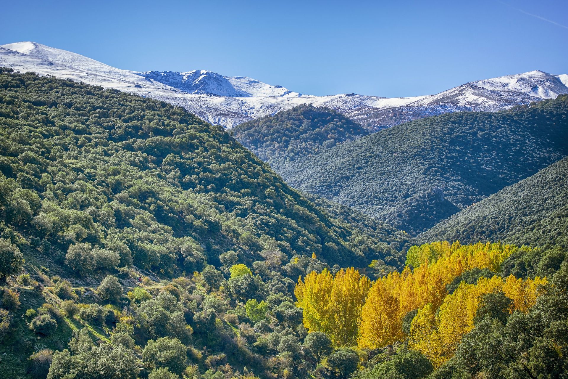 Sierra Nevada - Zuid-Spanje